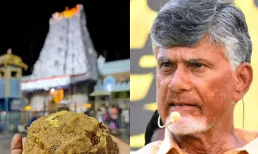 ‘లడ్డు’ సిబిఐ చేతిలో పడితే  చంద్రబాబుకి చిక్కులే..