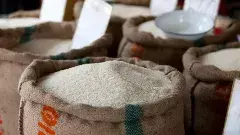 కేంద్రం నిర్ణయం హర్యానా, మహారాష్ట్రలో బీజేపీని గెలిపిస్తుందా?