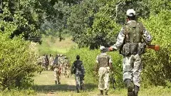 ఛత్తీస్‌గఢ్‌లో 36 మంది నక్సలైట్ల కాల్చివేత: దండకారణ్యం రక్తసిక్తం