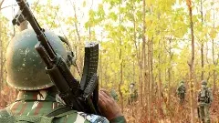 ఒక్కో నక్సలైట్ నిర్మూలనకు సర్కార్ పెట్టే ఖర్చు ఎన్ని కోట్లంటే...