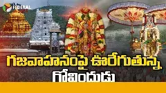 తిరుమల : గజ వాహనంపై మలయప్ప స్వామి
