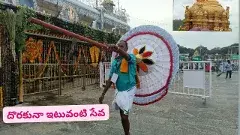 పల్లకీ మోతకు అడుగులు నేర్పిన తిరుమల వెంకన్న