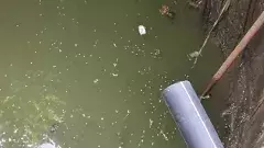 నారాయణ‌ఖేడ్‌లో కల్తీ నీరు తాగి ఇద్దరు మృతి, 50 మందికి అస్వస్థత