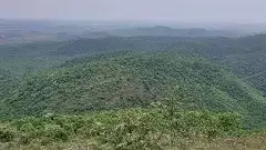 కన్నడ సర్కార్ నిర్ణయాలపై పర్యావరణవేత్తల అనుమానాలు..