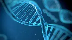 ఇమేజ్ కర్టసీ- ఫేస్ బుక్