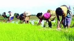 తెలంగాణ వ్యవసాయ రైతుల సంక్షేమ కమిషన్