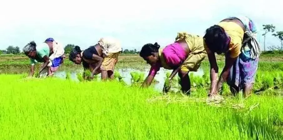 తెలంగాణ వ్యవసాయ రైతుల సంక్షేమ కమిషన్