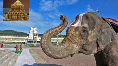 టీటీడీ బోర్డు ఏర్పాటులో జాప్యానికి అవేనా కారణాలు?