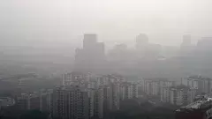 ‘ అవన్నీ కంటి తుడుపు చర్యలే’, పంజాబ్, హర్యానాపై సుప్రీం ఆగ్రహం