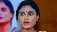 జగనన్నా.. డబ్బు కోసం పేగుబంధాన్నే తుంచుతావా? షర్మిల ఘాటు లేఖ