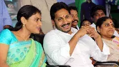 జగనన్న చెప్పింది పచ్చి అబద్దం : వైఎస్‌ షర్మిల