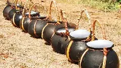 తాటి కల్లు (ఫోటో కర్టసీ వీరా ఆగ్రో ఫామ్స్)