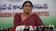 విజయసాయిరెడ్డి.. మీ బిడ్డల మీద ప్రమాణం చేయగలరా...