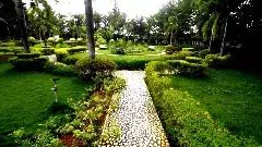 అడవిలో ఆనంద బృందావనం!