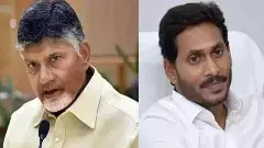 బాబు నైపుణ్యాలు ఆంధ్రాకిపుడు సరిపోతాయా?