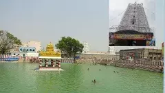 28 నుంచి ప‌ద్మావ‌తి అమ్మ‌వారి బ్ర‌హ్మోత్స‌వాలు