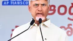 అసభ్యకర పోస్టులపై చూస్తూ ఊరుకోవాలా : సీఎం చంద్రబాబు ఆగ్రహం