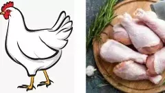 కార్తీక మాసంలో చికెన్ ధర కొండెక్కిందేమిటీ?