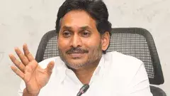 సీఎం చంద్రబాబుపై 420 కేసు ఎందుకు పెట్టకూడదు?