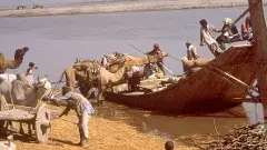 హరప్పాలో సామరస్యపూర్వక  కొత్త శకానికి నాంది