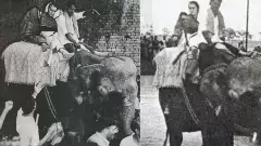 Indira Gandhi/ఇందిరా గాంధీ ఫోటో వెనక కథేంటి? రాజకీయం ఏమిటి?