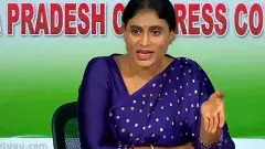 నా బిడ్డలపై ప్రమాణం చేసి మళ్లీ చెబుతున్నా,ప్రభాస్‌ అంటే ఎవడో తెలియదు