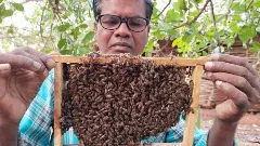 మారేడుమిల్లిలో ‘హనీమేన్‌’!