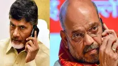 అమిత్ షాకి చంద్రబాబు ఫోన్, మీరు గ్రేట్ సర్ అని ప్రశంస