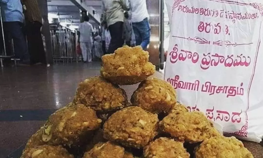 TTD LADDU| తిరుమలలో కల్తీ నెయ్యి డొంక కదులుతోంది!