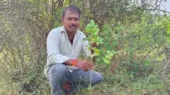 ప్లాస్టిక్‌ ప్రపంచంలో ఆకుపచ్చని మనిషి!