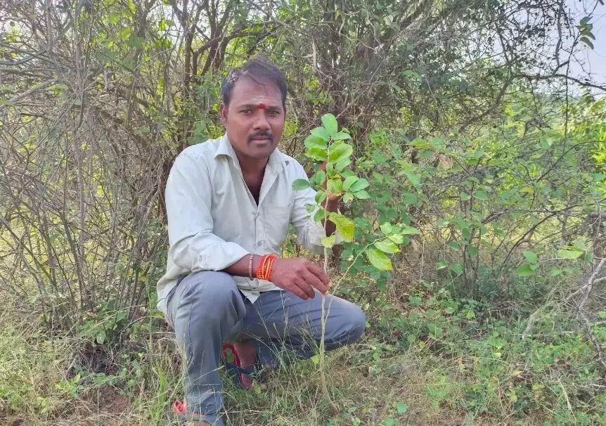 ప్లాస్టిక్‌ ప్రపంచంలో ఆకుపచ్చని మనిషి!