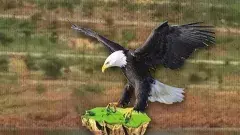 విజయవాడలో టీడీపీ వర్సెస్ జనసేన!