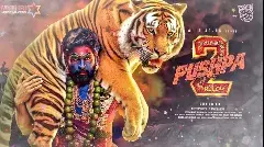 పుష్ప 2: సినిమా మార్కెట్ లో ఎందుకంత సంచలనం!