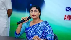 పేదల పొట్టకొట్టి.. పందికొక్కుల్లా తిన్నారు