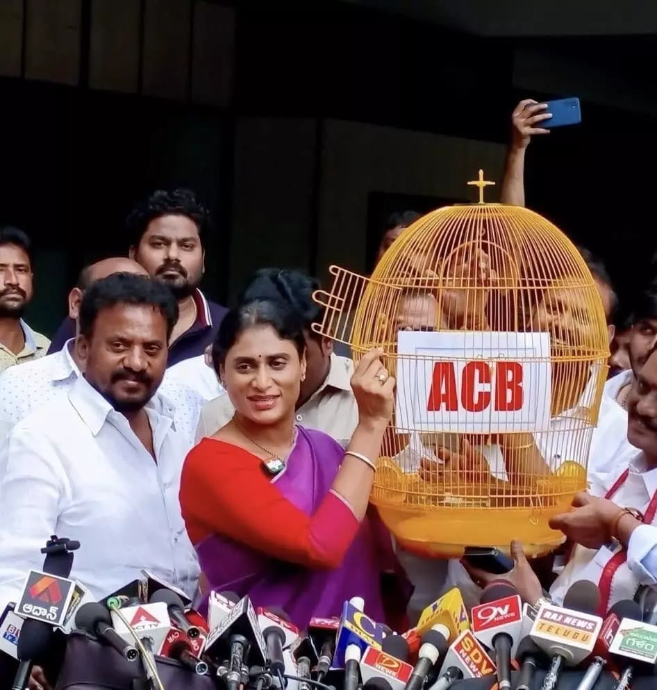 టీడీపీ బోను నుంచి ఏసీబీని విడుదల చేయండి: షర్మిల డిమాండ్