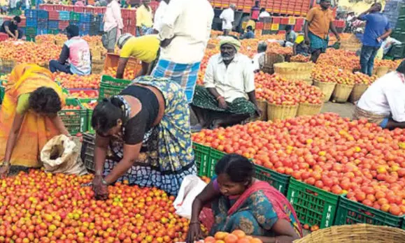 TOMATO CRISIS | కిలో టమాటా రూ.1కి కొనరా? వ్యాపారుల తీరుకు రైతుల నిరసన