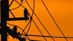 Farmer dies | పందుల కోసం తీసిన కరెంటుకు రైతు బలి