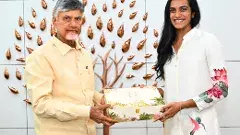 చంద్రబాబు, పవన్‌ కల్యాణ్‌లను పెళ్లికి ఆహ్వానించిన పీవీ సింధు