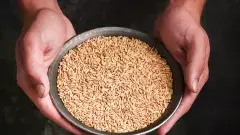 పంటల కనీస మద్ధతు ధరకు చట్టబద్ధత ఎప్పుడు?