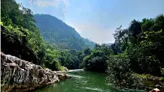 ‘తుంబురు’ను చూడాలనే కోరిక నీటిపాలైంది