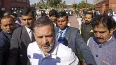 ఎంపీలపై దురుసు ప్రవర్తన కేసు.. రాహుల్ ను విచారించే అవకాశం