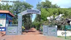 Flamingo Festival | విదేశీ అతిథుల కోసం ఓ పండుగ