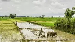 రైతుల ఆత్మహత్యలు ఆగినప్పుడే రైతు దినోత్సవానిక అర్థం