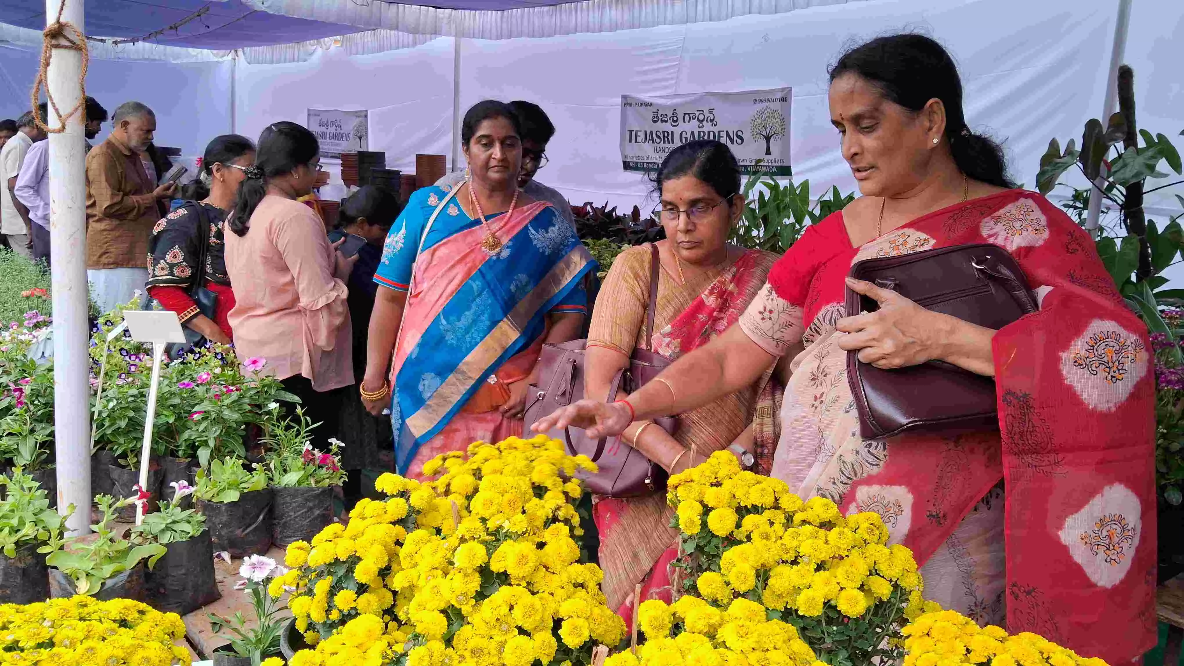 విజయవాడ నగర ప్రజలను ఆకట్టుకున్న అందమైన ప్లవర్ షో