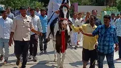 JC BROTHERS TADIPATRI | ఇది జేసీ సామ్రాజ్యం..  చెప్పిందే శాసనం.!