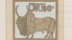 భారత రాజ్యాంగంలో బొమ్మలు ఏమి చెబుతున్నాయి?