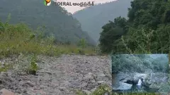 Seshachalam forest | కడప అడవిలో శ్రీకాళహస్తి విద్యార్థుల ఆర్తనాదాలు