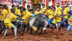 తమిళనాడులో జల్లికట్టు విజేతలకు ఈసారి భారీ ప్రైజ్‌లు..