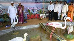 FLamingo |ఫ్లెమింగో ఫెస్టివల్ : రెక్కలు విప్పిన ఆనందం