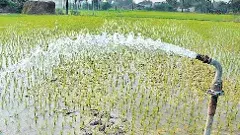 Ground Water | తెలంగాణలో పెరిగిన భూగర్భ జలసిరులు